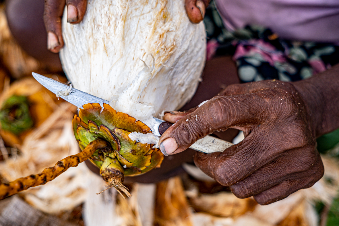AO10-01-2020SOLOMONISLANDS2551