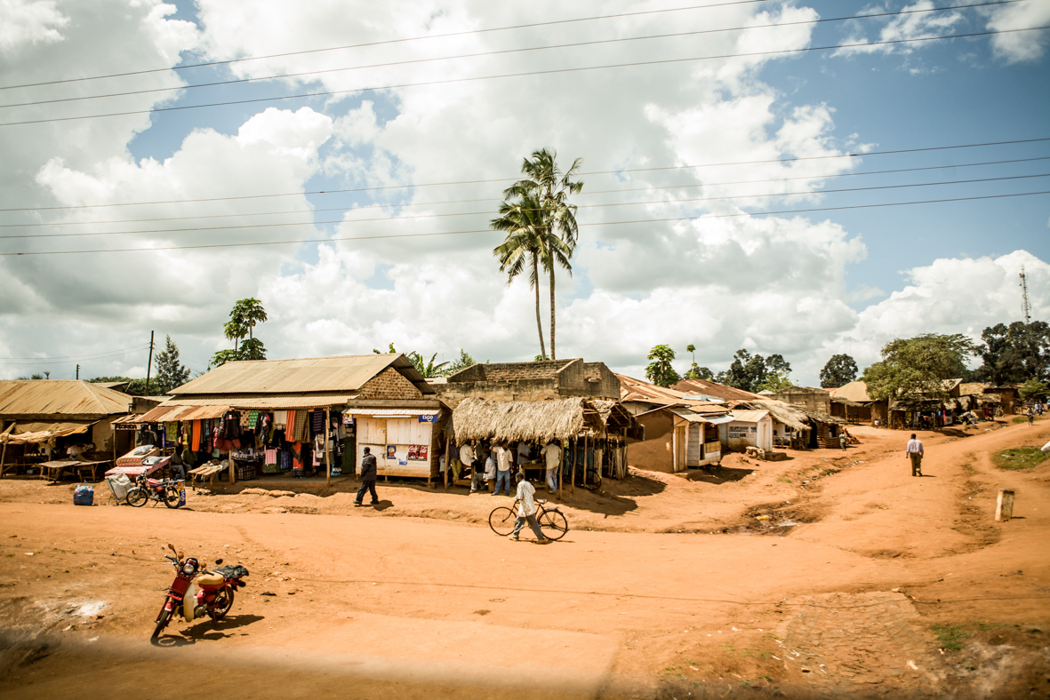 Africa 18