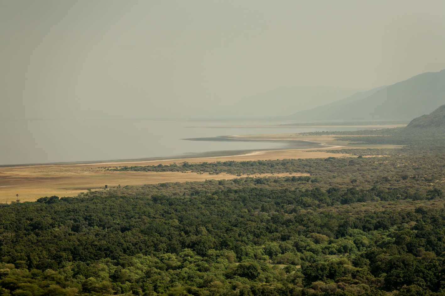 NGORONGORO CRATER, AFRICA 2