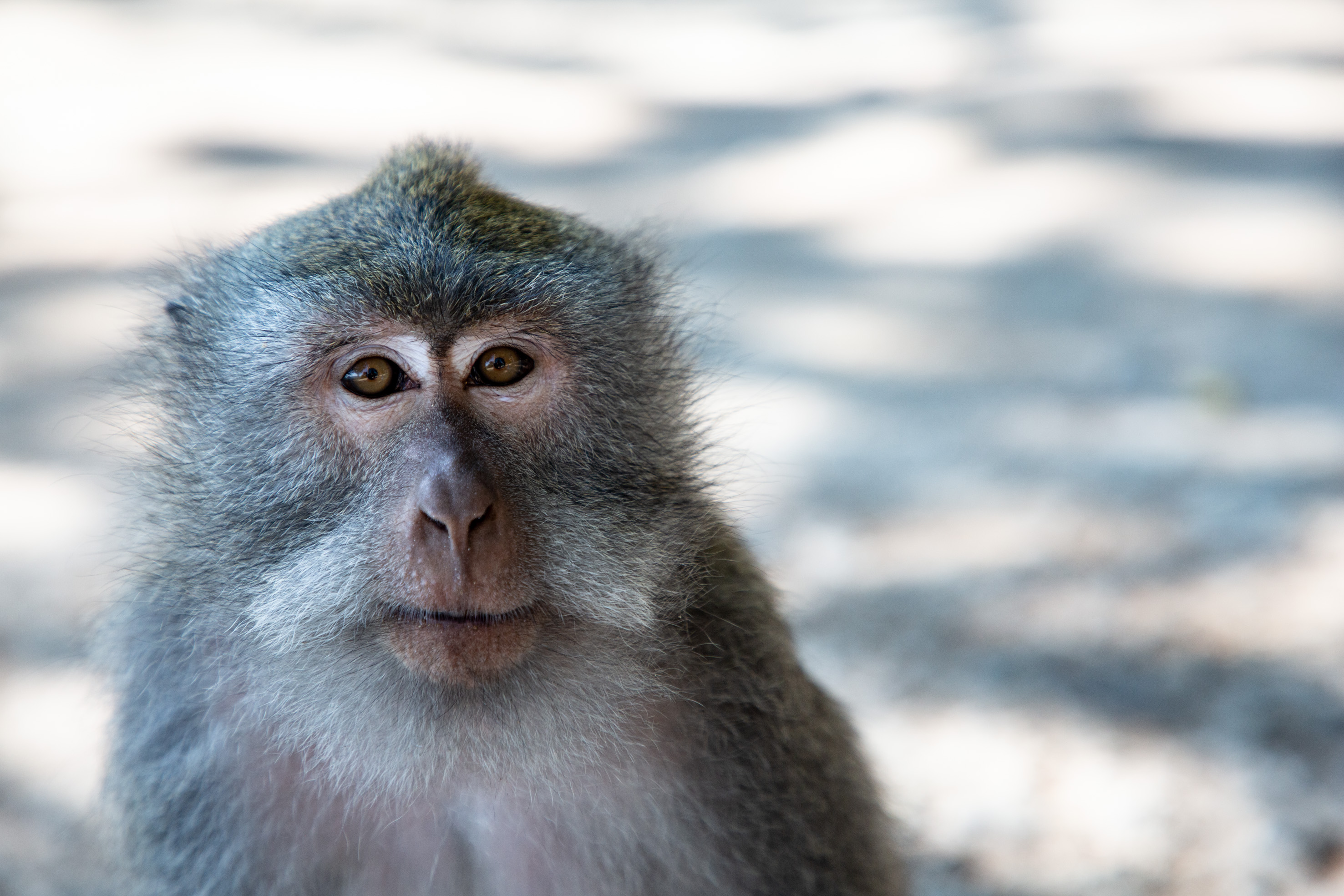 AOBALI06-08-20191150